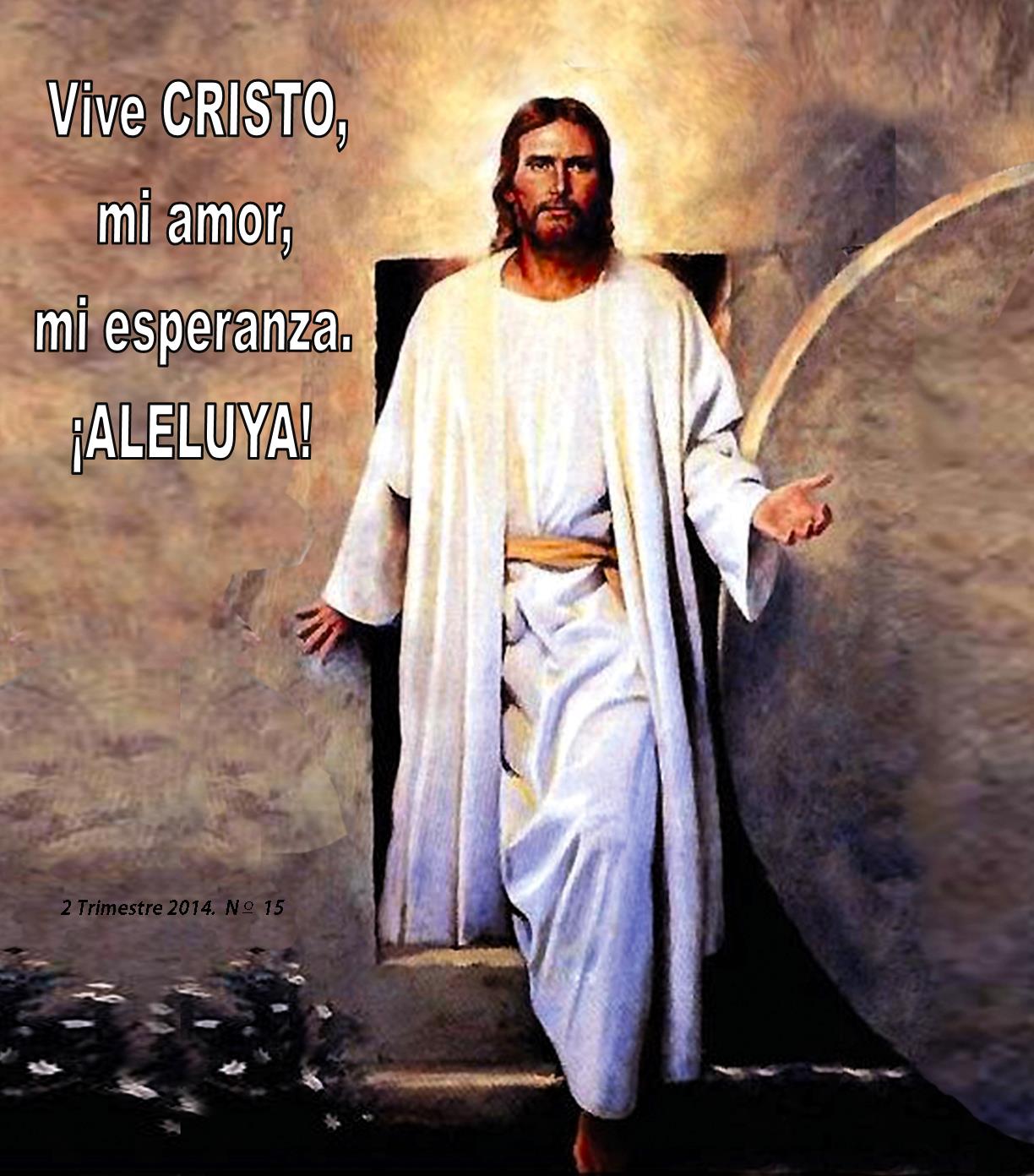 Leer artículo