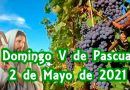 Alocución Quinto Domingo de Pascua