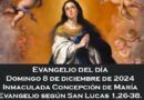 Alocución 8 de diciembre de 2024