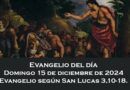 Alocución 15 de diciembre del 2024
