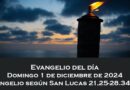 Alocución 1 de diciembre del 2024