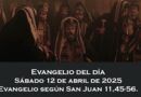 Alocución 12 de abril del 2025