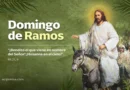 Alocución Domingo de Ramos