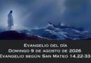 Alocución 9 de agosto del 2026